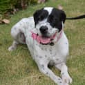 Photo of Zoe Dl1485