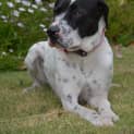 Photo of Zoe Dl1485