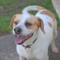 Photo of Jackson ** A Loving Little Man **
