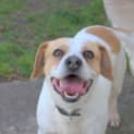 Photo of Jackson ** A Loving Little Man **