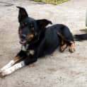 Photo of Uno