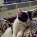 Photo of Minnie ** I'm Just $25! **