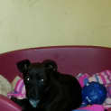 Photo of Samantha