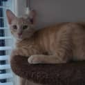 Photo of Rueben