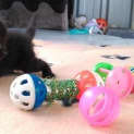 Photo of Marley