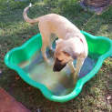 Photo of Doug 