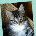 Photo of Leo