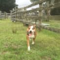 Photo of Chloe