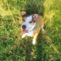 Photo of Chloe