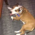 Photo of Chloe