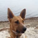 Photo of Matilda