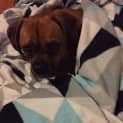 Photo of Lenny