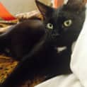Photo of Spookie