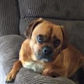 Photo of Lenny