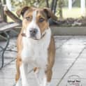 Photo of Sooky Id31000