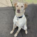 Photo of Tiny