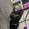 Photo of Velo