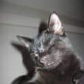 Photo of Drax