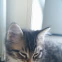 Photo of Leo