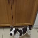 Photo of Leela