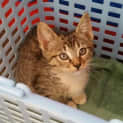 Photo of Zeus