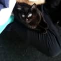 Photo of Lotti