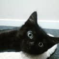 Photo of Lotti