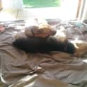 Photo of Odie Dl230