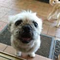 Photo of Paco