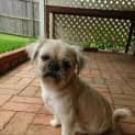 Photo of Paco
