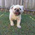 Photo of Paco