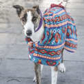 Photo of Lenah Id32442