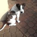 Photo of Leela