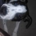 Photo of Leela