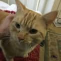Photo of Oliver