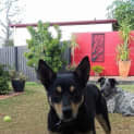 Photo of Shae