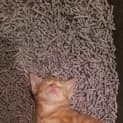 Photo of Amber 