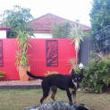Photo of Shae