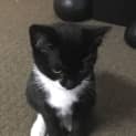 Photo of Phoebe