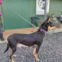 Photo of Zoe