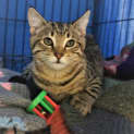 Photo of Judy