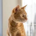Photo of Meggs