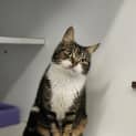 Photo of Quill