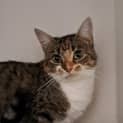 Photo of Bridgett (6592)