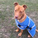 Photo of Gatsby