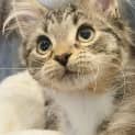 Photo of Jelly Located In Preston
