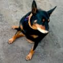 Photo of Jude