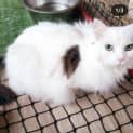 Photo of Casper And Jasper