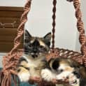 Photo of Maeve