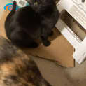 Photo of Princess